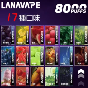 lana vape 8000一次性電子煙 拋棄式｜升級版大容量電子煙｜可充電｜現貨現發